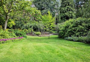 Optimiser l'expérience du jardin à Francueil